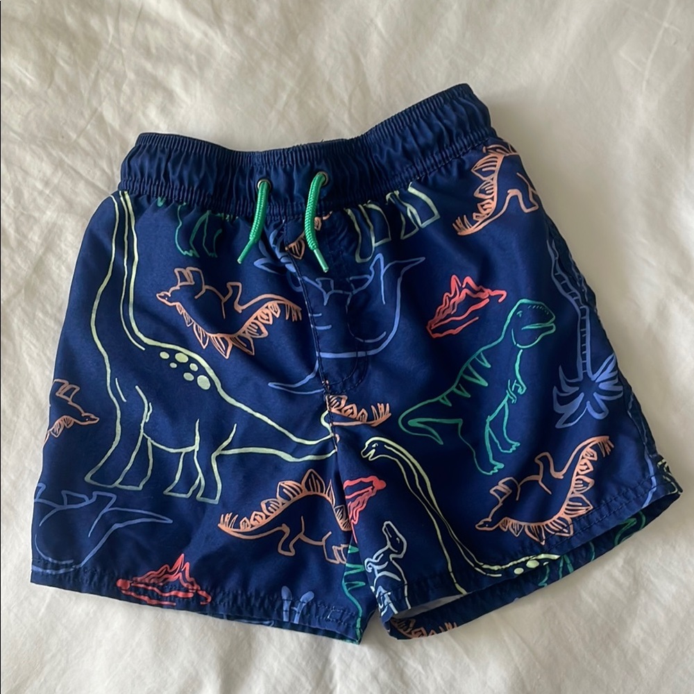 Carter’s Boys Blue Dinosaur Print Swim Trunks